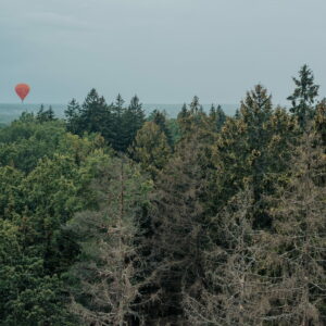 Privatus skrydis oro balionu Palangoje